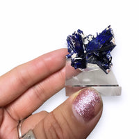 Azurite High End Crystal Cluster Mineral Specimen (Kerrouchene, Morocco)