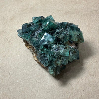 Hidden Forest Green Daylight UV Fluorite Galena #4 Mineral Specimen (Diana Maria Mine, Weardale, England)