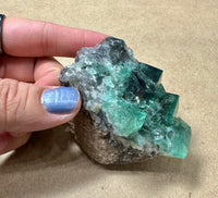 Hidden Forest Green Daylight UV Fluorite #2 Mineral Specimen (Diana Maria Mine, Weardale, England)