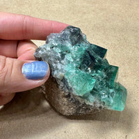 Hidden Forest Green Daylight UV Fluorite #2 Mineral Specimen (Diana Maria Mine, Weardale, England)