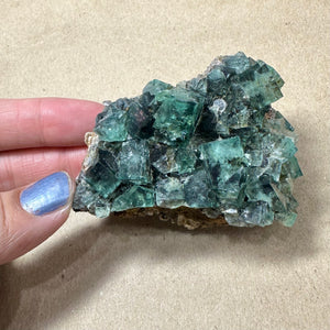 Hidden Forest Green Daylight UV Fluorite Galena #4 Mineral Specimen (Diana Maria Mine, Weardale, England)