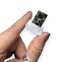 Seymchan Pallasite Meteorite Nickel Iron Metallic with Olivine Windows Mini Polished Slice (Russia)