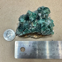 Hidden Forest Green Daylight UV Fluorite Galena #4 Mineral Specimen (Diana Maria Mine, Weardale, England)