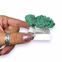 Malachite on Native Copper Rare High Quality Tsumeb Mine Oshikoto Region Namibia