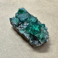 Hidden Forest Green Daylight UV Fluorite Galena #3 Mineral Specimen (Diana Maria Mine, Weardale, England)
