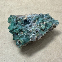 Hidden Forest Green Daylight UV Fluorite Galena #4 Mineral Specimen (Diana Maria Mine, Weardale, England)