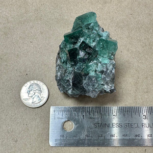 Hidden Forest Green Daylight UV Fluorite #2 Mineral Specimen (Diana Maria Mine, Weardale, England)