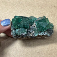 Hidden Forest Green Daylight UV Fluorite Galena #3 Mineral Specimen (Diana Maria Mine, Weardale, England)