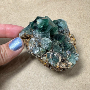Hidden Forest Green Daylight UV Fluorite Galena #1 Mineral Specimen (Diana Maria Mine, Weardale, England)
