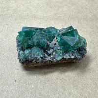 Hidden Forest Green Daylight UV Fluorite Galena #3 Mineral Specimen (Diana Maria Mine, Weardale, England)