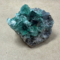 Hidden Forest Green Daylight UV Fluorite #2 Mineral Specimen (Diana Maria Mine, Weardale, England)