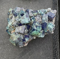 Hidden Forest Green Daylight UV Fluorite Galena #4 Mineral Specimen (Diana Maria Mine, Weardale, England)