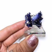 Azurite High End Crystal Cluster Mineral Specimen (Kerrouchene, Morocco)