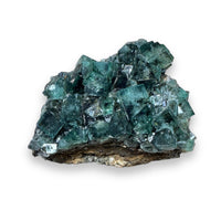 Hidden Forest Green Daylight UV Fluorite Galena #4 Mineral Specimen (Diana Maria Mine, Weardale, England)