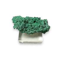 Malachite on Native Copper Rare High Quality Tsumeb Mine Oshikoto Region Namibia