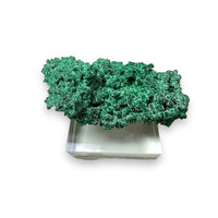 Malachite on Native Copper Rare High Quality Tsumeb Mine Oshikoto Region Namibia