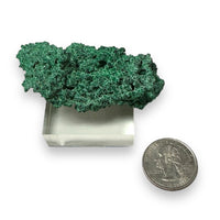 Malachite on Native Copper Rare High Quality Tsumeb Mine Oshikoto Region Namibia