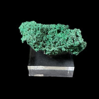 Malachite on Native Copper Rare High Quality Tsumeb Mine Oshikoto Region Namibia