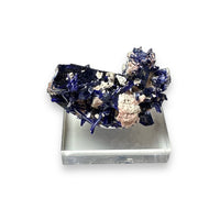 Azurite High End Crystal Cluster Mineral Specimen (Kerrouchene, Morocco)