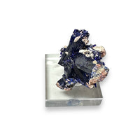 Azurite High End Crystal Cluster Mineral Specimen (Kerrouchene, Morocco)