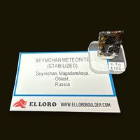 Seymchan Pallasite Meteorite Nickel Iron Metallic with Olivine Windows Mini Polished Slice (Russia)