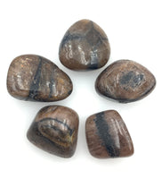 Andalusite (Chiastolite) (1) Tumbled Stone