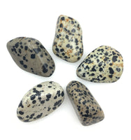 Dalmatian Stone (1) Tumbled Stone