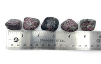 Eudialyte (1) B Grade Tumbled Stone