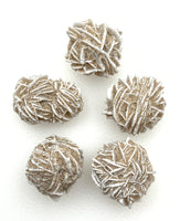 Desert Rose Gypsum (1) Raw Stone