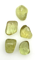 Green Apatite (1) Tumbled Stone