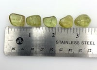 Green Apatite (1) Tumbled Stone