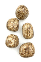 Aragonite (1) Tumbled Stone