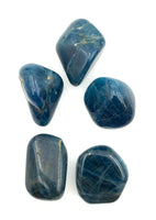 Blue Apatite (1) Tumbled Stone