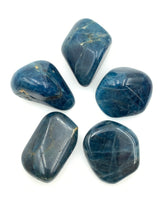 Blue Apatite (1) Tumbled Stone