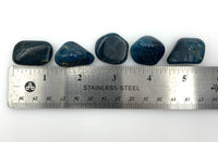 Blue Apatite (1) Tumbled Stone