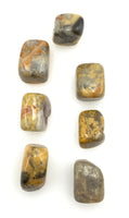 Crazy Lace Agate (1) Tumbled Stone