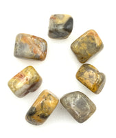 Crazy Lace Agate (1) Tumbled Stone