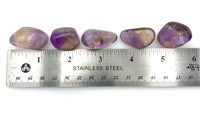 Ametrine (1) Tumbled Stone