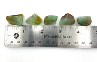 Chrysoprase (1) Tumbled Stone