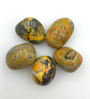 Bumble Bee Jasper (1) Tumbled Stone