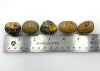 Bumble Bee Jasper (1) Tumbled Stone