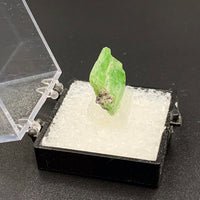 Tremolite Chrome #5 Thumbnail Specimen (Merelani Hills, Tanzania)