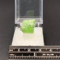 Tremolite Chrome #5 Thumbnail Specimen (Merelani Hills, Tanzania)