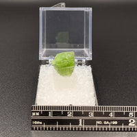 Tremolite Chrome #8 Thumbnail Specimen (Merelani Hills, Tanzania)