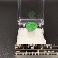 Garnet Tsavorite (Grossular) #5 Thumbnail Specimen (Merelani Hills, Tanzania)