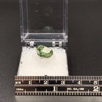 Garnet Tsavorite (Grossular) #6 Thumbnail Specimen (Merelani Hills, Tanzania)