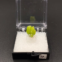 Pyromorphite #1 Thumbnail Specimen (Gongcheng Co, China)