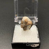 Staurolite #1 Thumbnail Specimen (Kola Peninsula, Russia)