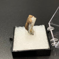 Staurolite #2 Thumbnail Specimen (Kola Peninsula, Russia)