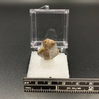 Staurolite #2 Thumbnail Specimen (Kola Peninsula, Russia)